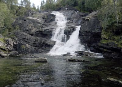 Talgø MøreTre